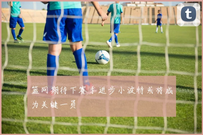 篮网期待下赛季进步小波特或将成为关键一员